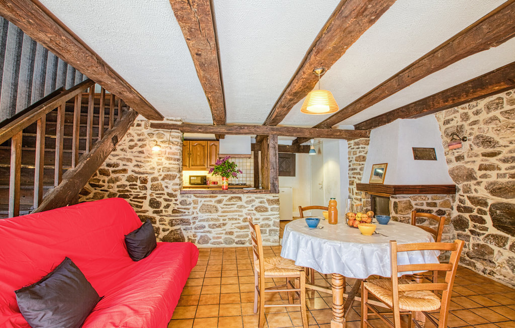 Appartement pierre 70 m² avec cheminée à Saint-Chely-d'Aubrac - Photo 3