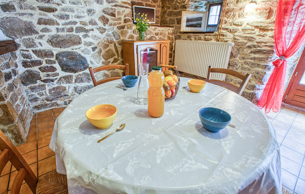 Appartement pierre 70 m² avec cheminée à Saint-Chely-d'Aubrac - Photo 4