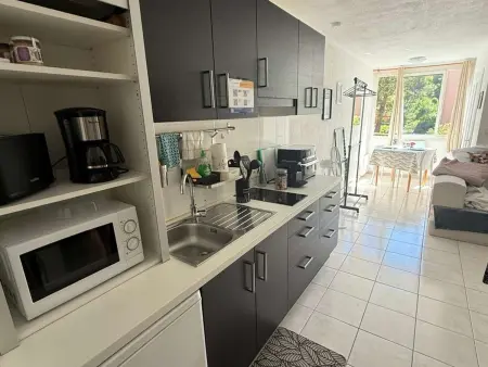 Studio 4 pers. Calvi - Plage 200m, parking inclus : photo 7