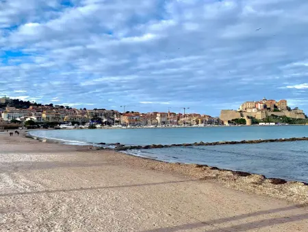 Studio 4 pers. Calvi - Plage 200m, parking inclus : photo 9