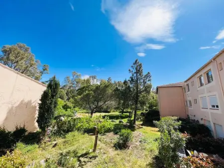 Studio 4 pers. Calvi - Plage 200m, parking inclus : photo 10
