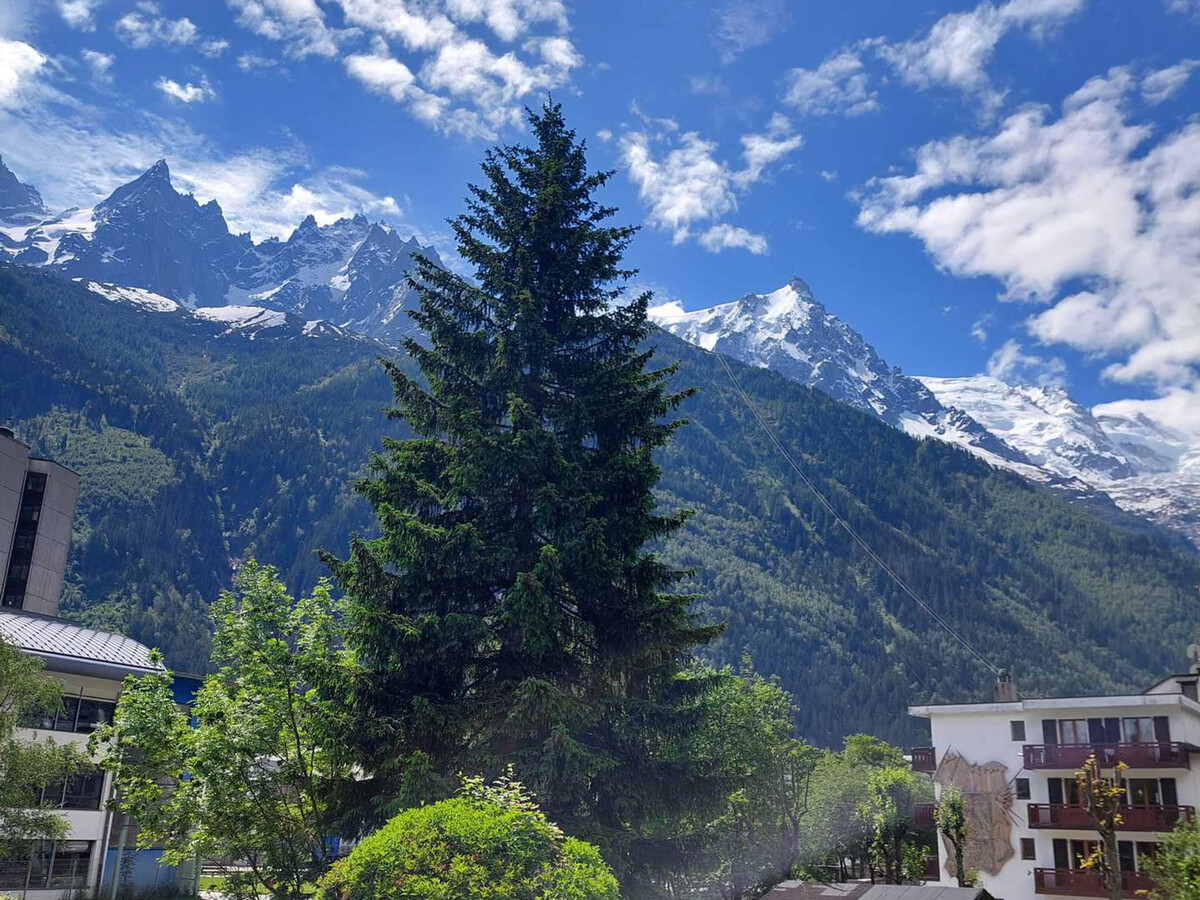 Appartement 2 pièces Chamonix, balcon vue Mont Blanc - Photo 11