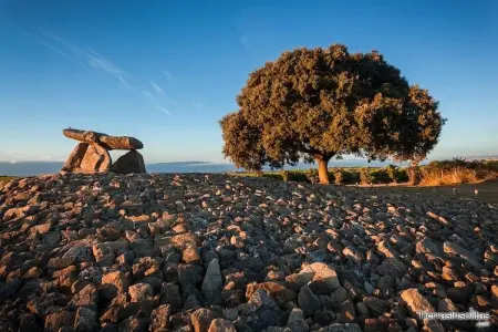 Casa Colonial XVIIIe – Maison 12 pers., Rioja Alavesa : photo 38