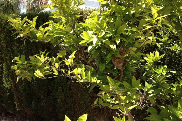 Villa Boya à Rojales : piscine privée et terrasse vue vallée - Photo 34
