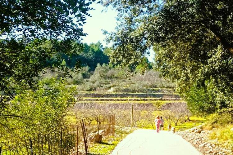 Villa Finca Caballo Verde avec piscine privée à Murla - Photo 22