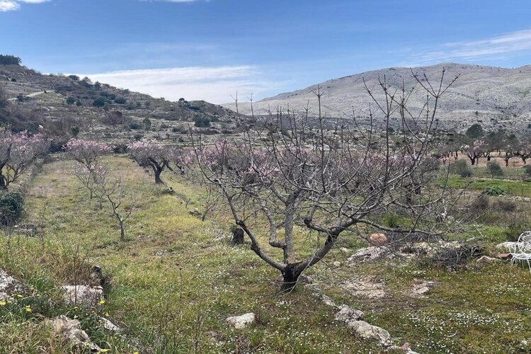 Villa Finca Caballo Verde avec piscine privée à Murla - Photo 26