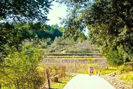 Villa Finca Caballo Verde avec piscine privée à Murla : photo 22