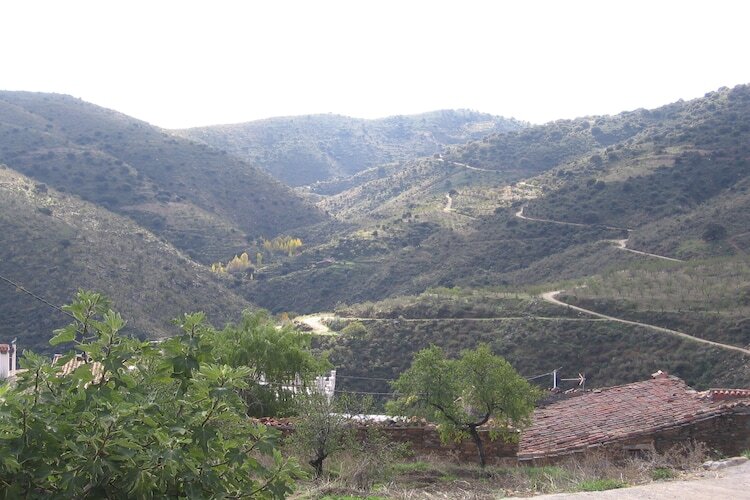 La Curiosa, maison 6 pers. en montagne près de Laroya - Photo 31