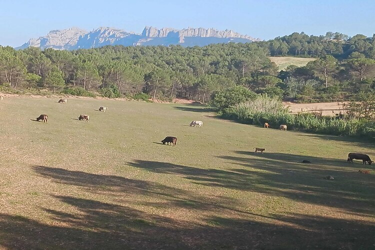 Mas Set Rengs - Gîte 17 pers. vue Montserrat - Photo 30