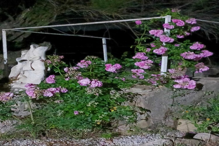 Mas Set Rengs - Gîte 17 pers. vue Montserrat - Photo 31