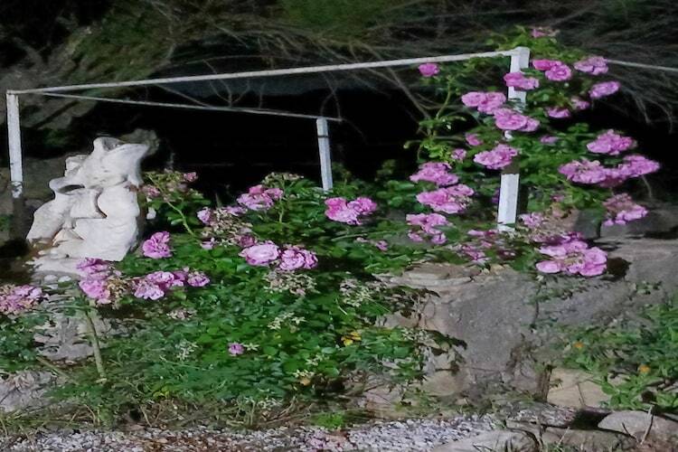 Mas Set Rengs 2, gîte rural avec piscine à Sant Salvador - Photo 25