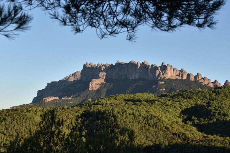 Can Códol 1 : gîte de ferme XVIIe siècle en Catalogne - Photo 35