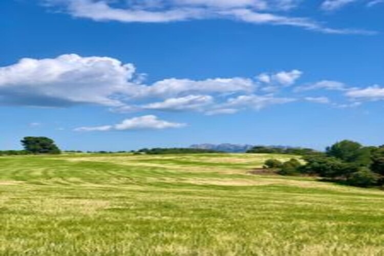 Can Códol 1 : gîte de ferme XVIIe siècle en Catalogne - Photo 36