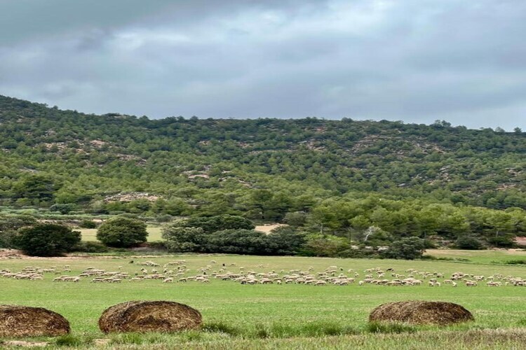 Can Códol 1 : gîte de ferme XVIIe siècle en Catalogne - Photo 38