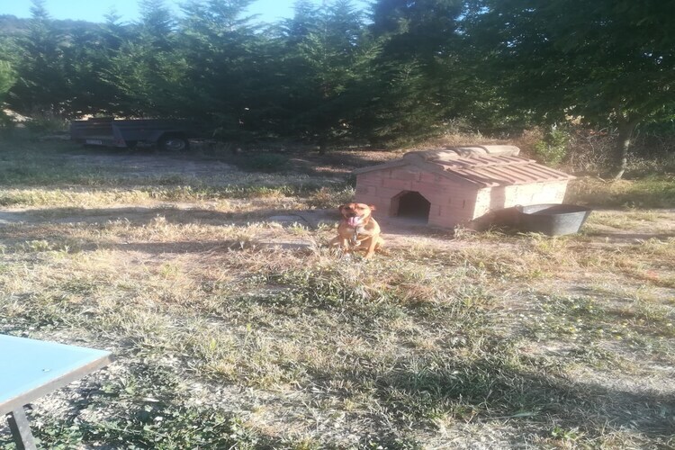 Cal Xelin, ferme du XIXe siècle avec piscine à Calonge - Photo 19