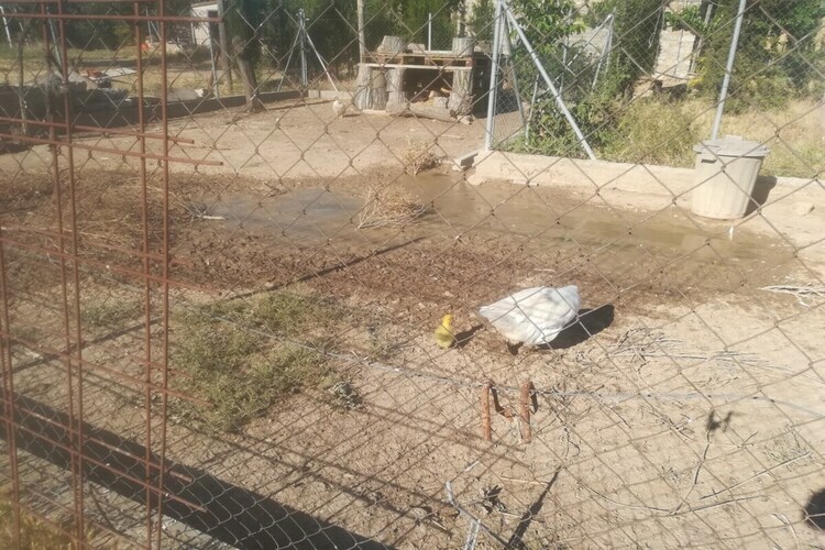 Cal Xelin, ferme du XIXe siècle avec piscine à Calonge - Photo 23