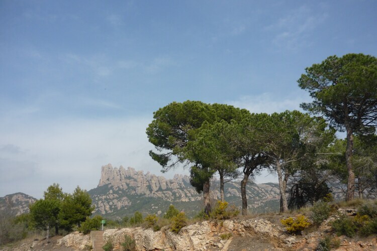 Cal Sant Miquel – Ferme 8 pers. piscine, 60 km Barcelone - Photo 18