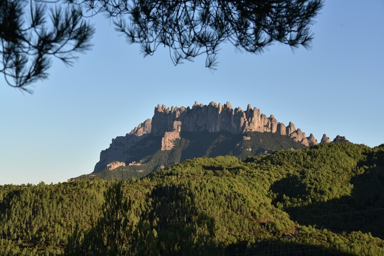 Cal Sant Miquel – Ferme 8 pers. piscine, 60 km Barcelone - Photo 38