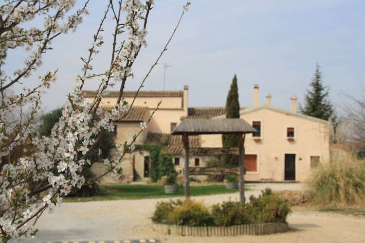 L'Olivera Dalt i Baix, gîte viticole 8 personnes - Photo 7