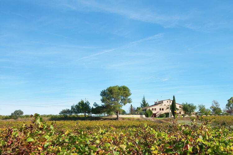 L'Olivera Dalt i Baix, gîte viticole 8 personnes - Photo 23