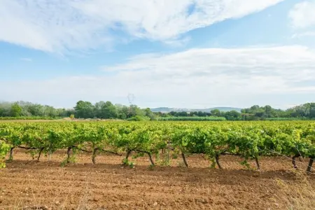 El Racó, gîte 6 pers. en Penedès viticole : photo 26
