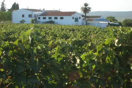 Location maison à Moriles, Demeure andalouse typique à proximité de Cordoue.