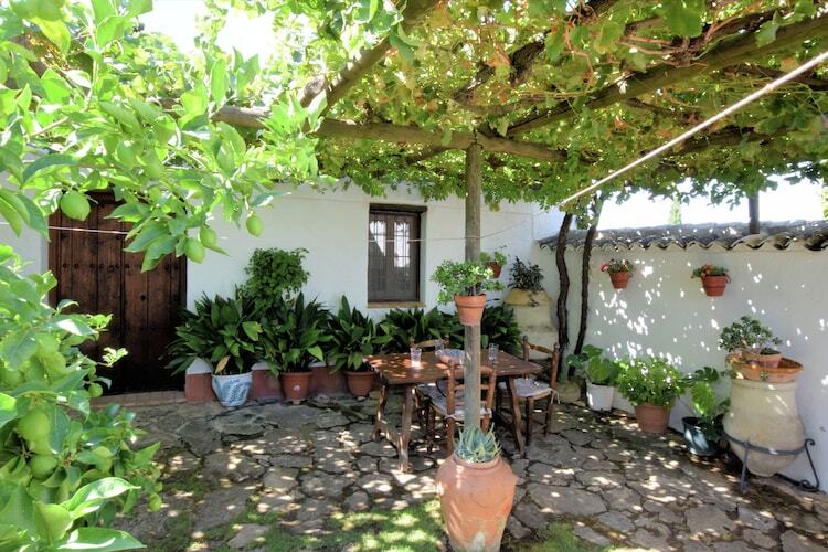 Cortijo El Morron, gîte andalou avec piscine privée - Photo 13