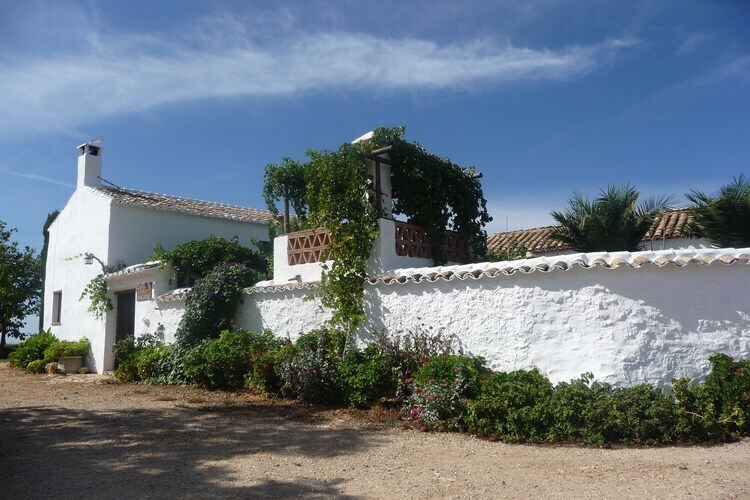 Cortijo El Morron, gîte andalou avec piscine privée - Photo 29