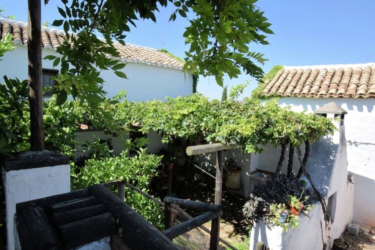 Cortijo El Morron, gîte andalou avec piscine privée - Photo 30