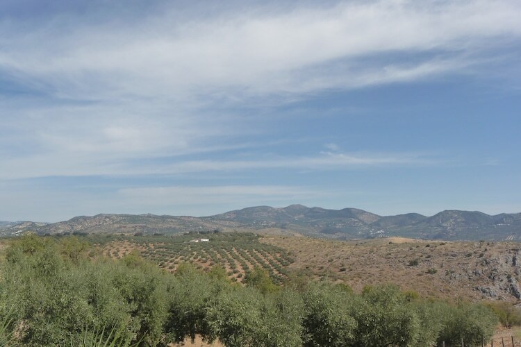 Cortijo El Morron, gîte andalou avec piscine privée - Photo 36