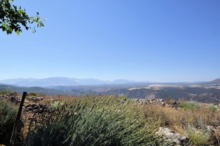 Cortijo El Morron, gîte andalou avec piscine privée - Photo 38
