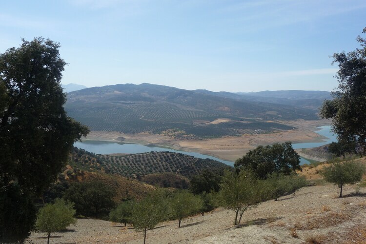 Cortijo El Morron, gîte andalou avec piscine privée - Photo 40