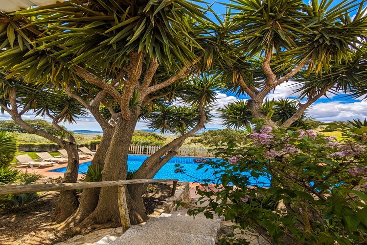 Finca las Chozas, gîte rural 4 pers. avec piscine - Photo 13