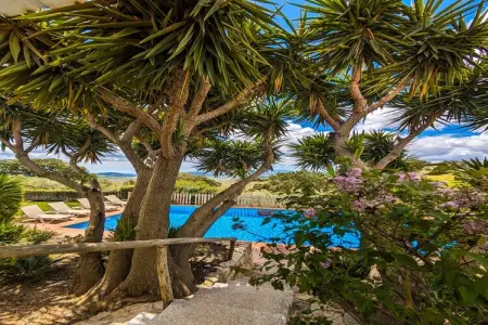 Finca las Chozas, gîte rural 4 pers. avec piscine : photo 13