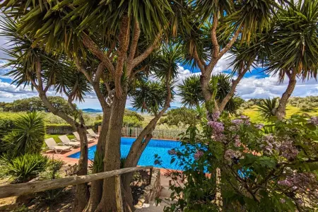 Finca las Chozas, gîte rural 4 pers. avec piscine : photo 14