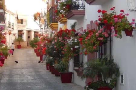 Las Cerezas : maison 3 chambres Sierra Bermeja : photo 37