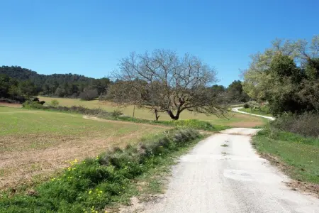 Can Casellas Masovería, gîte ferme catalane avec piscine : photo 29