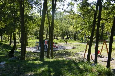 Maison rustique au bord du Lignon, La Souche : photo 8