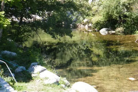 Maison rustique au bord du Lignon, La Souche : photo 21
