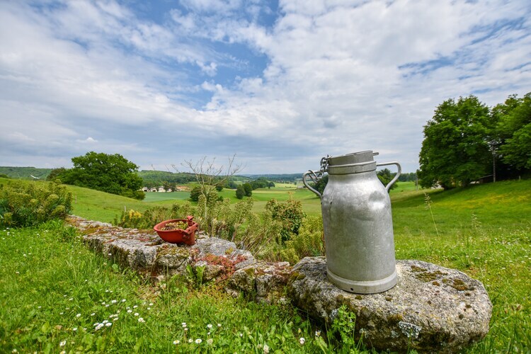 Le domaine d'Hypolite, maison auvergnate avec spa - Photo 24