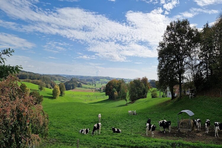 Le domaine d'Hypolite, maison auvergnate avec spa - Photo 38