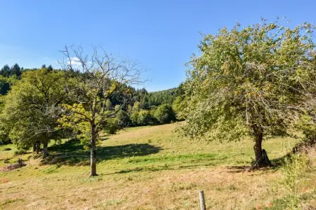 La Charmante, Escapade à la campagne de Calvinet - Photo 20