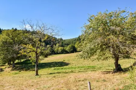 La Charmante, Escapade à la campagne de Calvinet - Photo 27