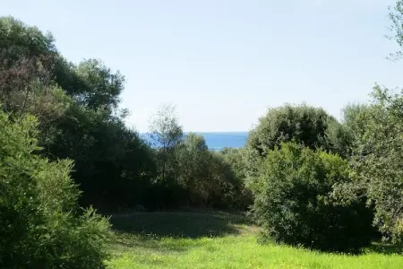 Les Nereides, Le bonheur au bord de la plage à Cargèse - Photo 23