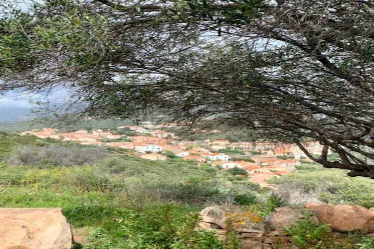 Les Néréides II, maison 2 pers. à 500m des plages - Photo 33
