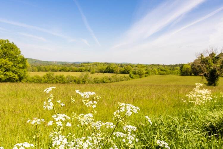 La Roseraie - Maison 4 pers. à 500m de la Dordogne - Photo 37