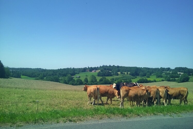 Le Haut Chambon, gîte rural 2 pers. en Dordogne - Photo 17