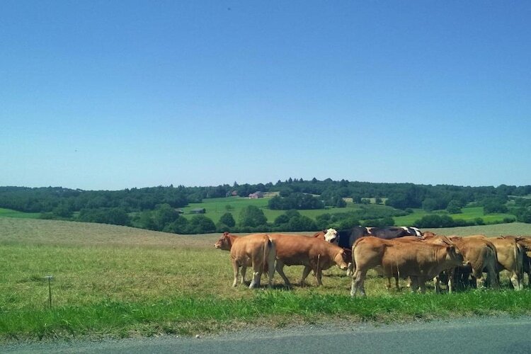 Le Haut Chambon, gîte rural 2 pers. en Dordogne - Photo 32