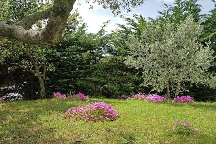 Villa L'Oliveraie - Piscine privée et jardin clôturé - Photo 8