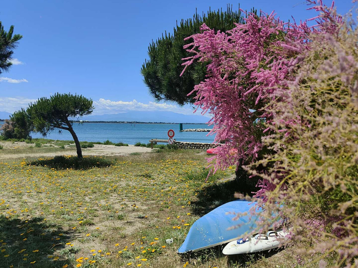 Appart 4 pièces 8 pers, vue étang et Pyrénées - Port Barcarès - Photo 24